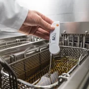 Food Thermometer Testo 103