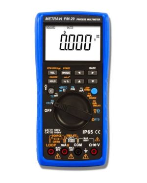 Process Meter PM-29